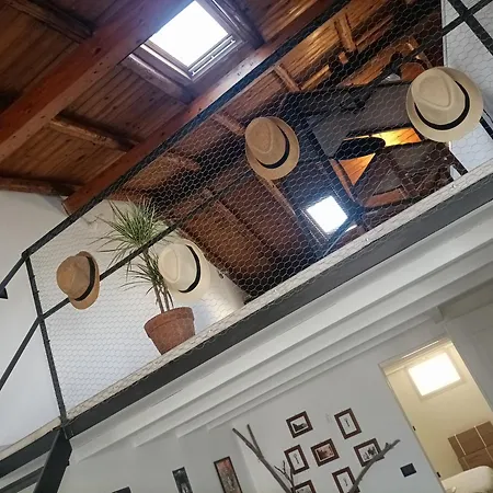 Maison 61 アパート *