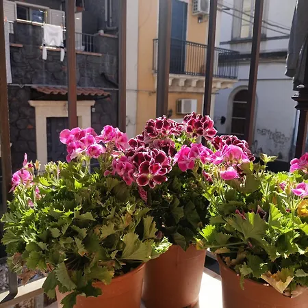 Maison 61 アパート *