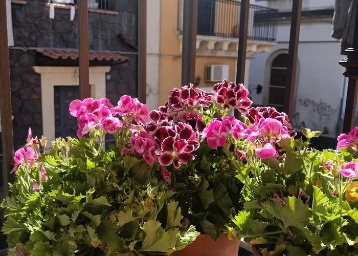 Maison 61 Apartamento *